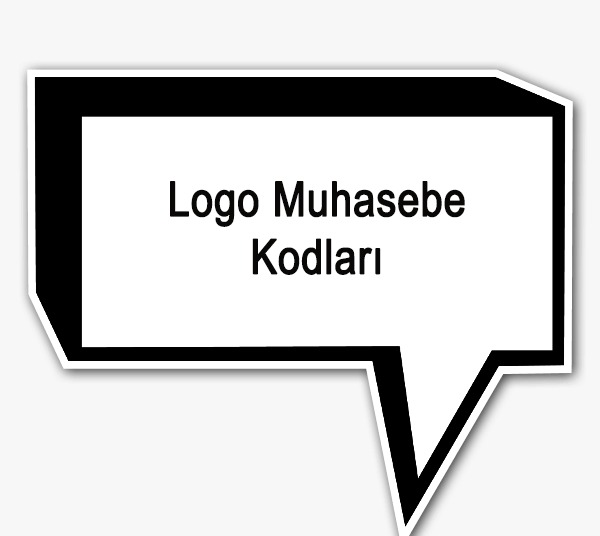 Logo Muhasebe Kodları